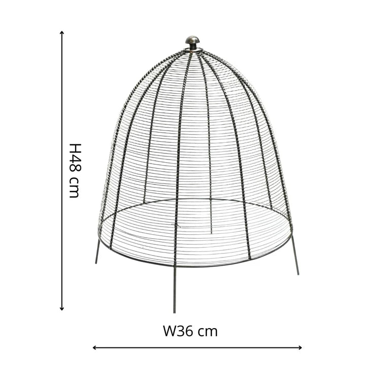 Outdoor Garden Small Wired Plant Protector Cage/Cover Zinc Finish - Frost Resistant Quality Home Decor Garden & Outdoor Living and Gifts