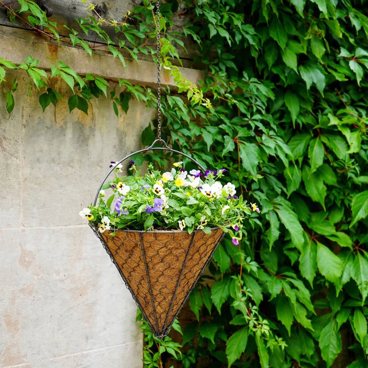Outdoor Garden Wired Netted Hanging Basket - Cone Shape, Bronze Finish, Frost Resistant Quality Home Decor Garden & Outdoor Living and Gifts