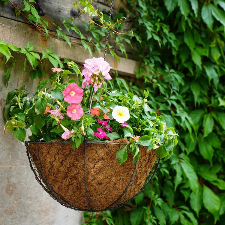 Outdoor Garden Wired Netted Hanging Basket Zinc Finish - Frost Resistant, Handcrafted Quality Home Decor Garden & Outdoor Living and Gifts