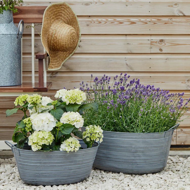 Outdoor Matlock Large Oval Planter Galvanised Iron - w/Handles for Easy Moving Quality Home Decor Garden & Outdoor Living and Gifts
