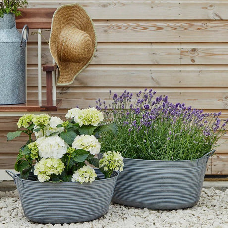 Outdoor Matlock Oval Planter Galvanised Iron - w/Handles, Rust & Frost Resistant, Lightweight Quality Home Decor Garden & Outdoor Living and Gifts