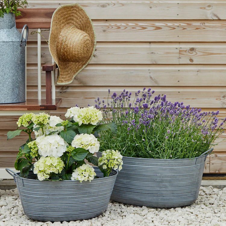 Outdoor Matlock Oval Planter Galvanised Iron - w/Handles, Rust & Frost Resistant, Lightweight Quality Home Decor Garden & Outdoor Living and Gifts