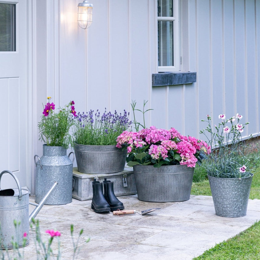 Outdoor Small Planter Galvanised Iron Trough - Generous Size, Easy care with Built - in Drainage Quality Home Decor Garden & Outdoor Living and Gifts