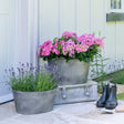 Outdoor Small Planter Galvanised Iron Trough - Generous Size, Easy care with Built - in Drainage Quality Home Decor Garden & Outdoor Living and Gifts