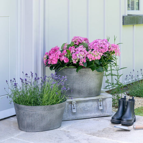 Outdoor Small Planter Galvanised Iron Trough - Generous Size, Easy care with Built - in Drainage Quality Home Decor Garden & Outdoor Living and Gifts