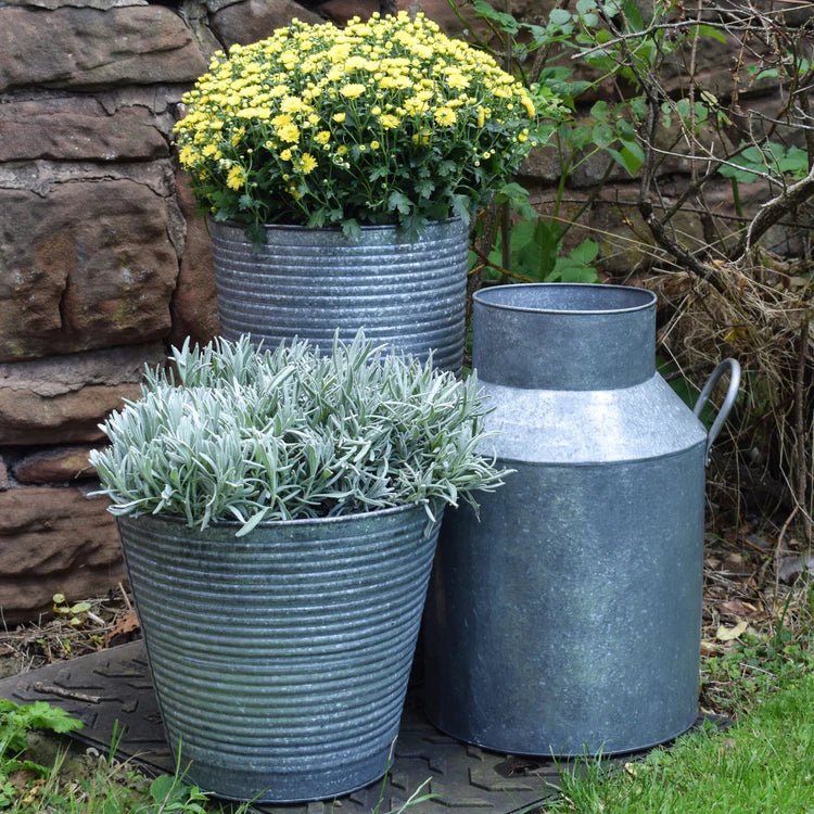 Outdoor Vase/High Ribbed Planter Galvanised Iron - Rust & Frost Resistant, Vintage Look Quality Home Decor Garden & Outdoor Living and Gifts