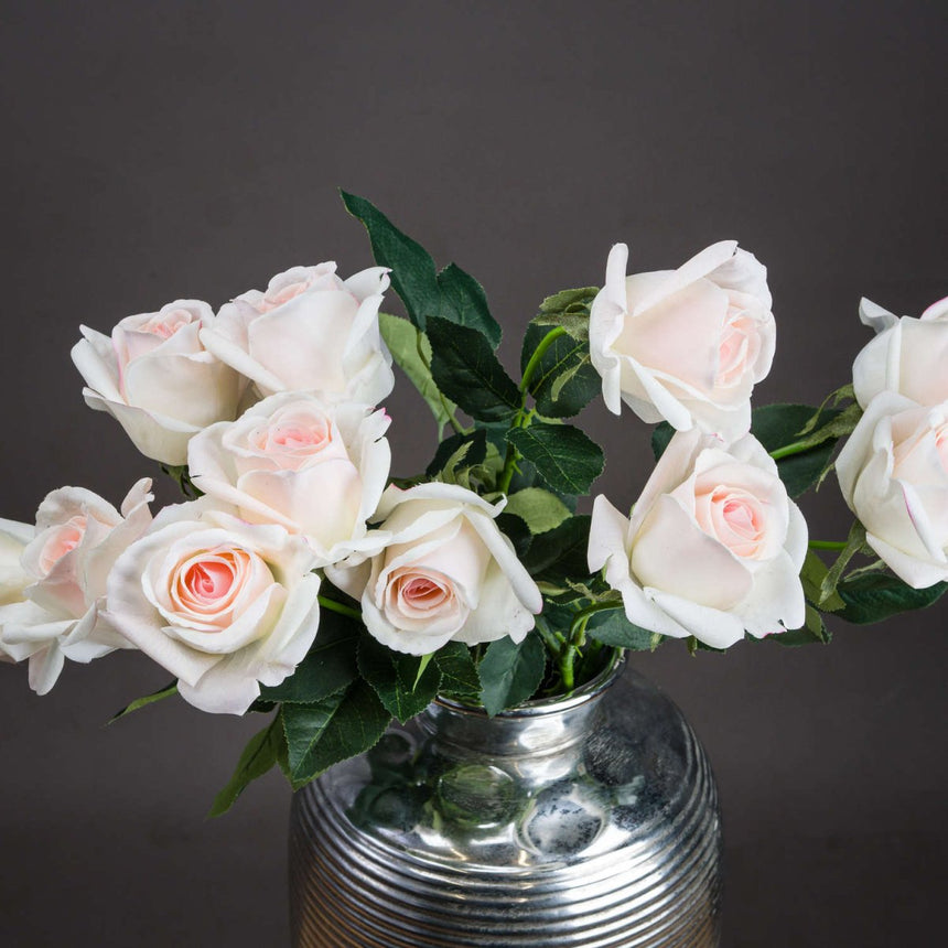 Palest Pink Tea Rose Luxury Home Decor Garden & Outdoor And Gifts