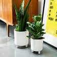 Pisa Large Indoor Planter w/Legs White Ceramic - Ideal to Create Mid - Century Accent Look Quality Home Decor Garden & Outdoor Living and Gifts