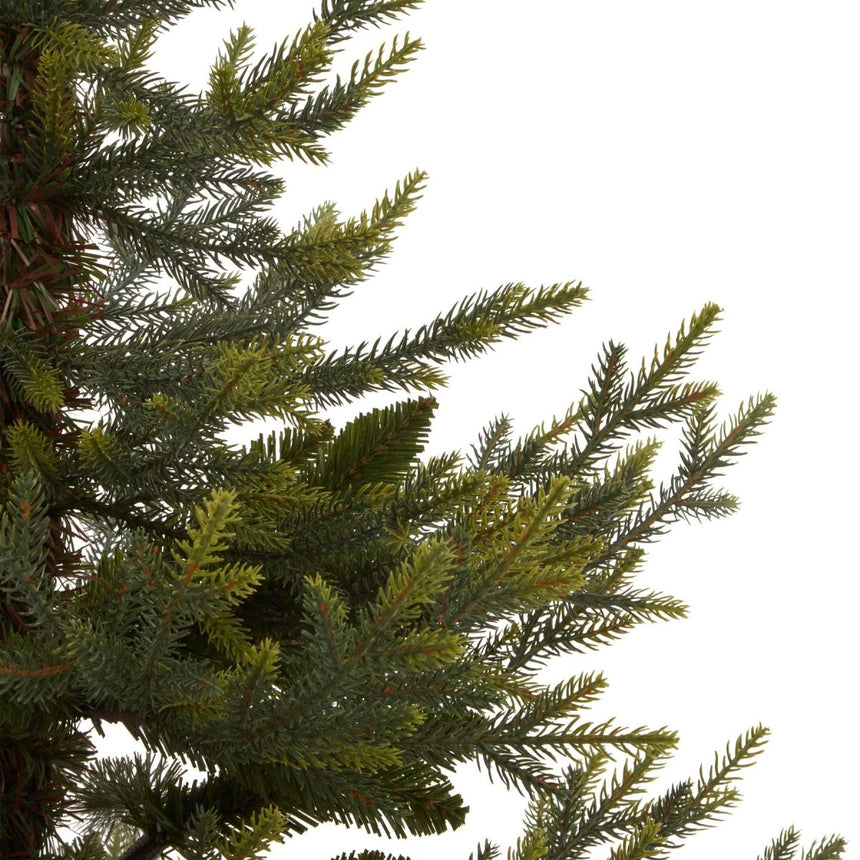 Potted Natural Pine Tree Luxury Home Decor Garden & Outdoor And Gifts