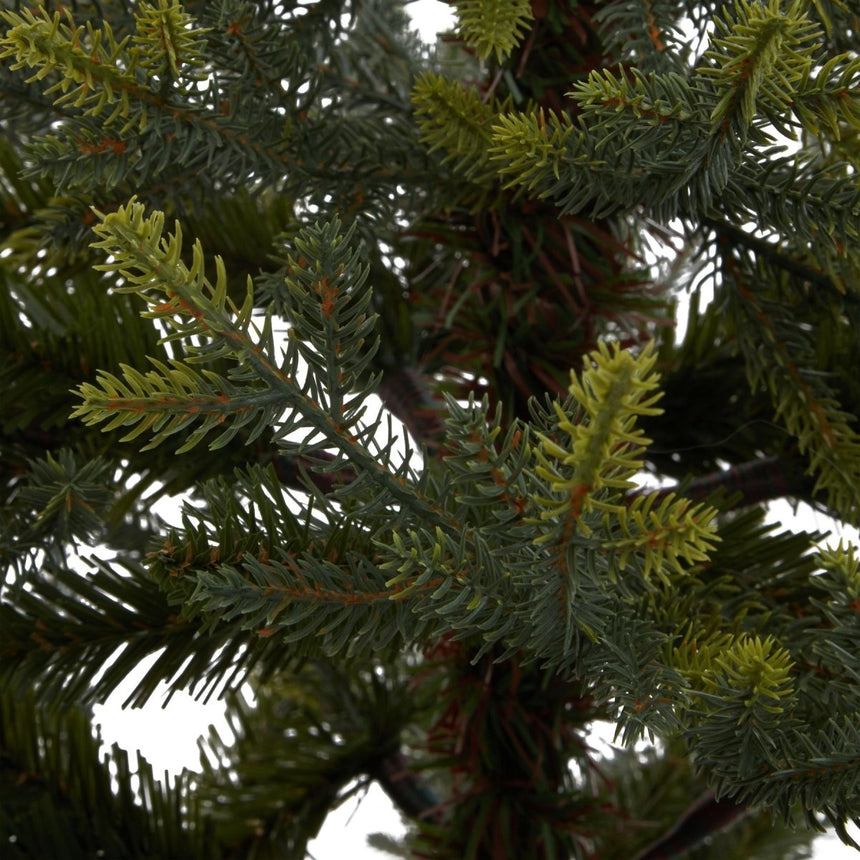 Potted Natural Pine Tree Luxury Home Decor Garden & Outdoor And Gifts
