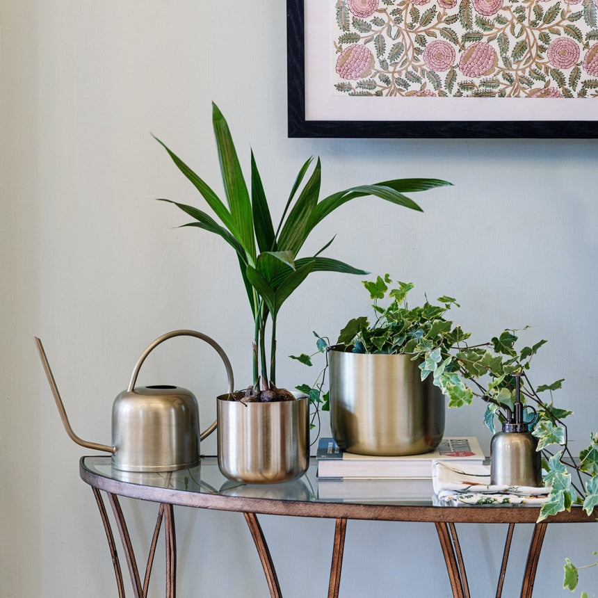 Royal Kew Gardens Indoor Metal Watering Can - Matt Brass Finish & Comes in a Gift Box Luxury Home Decor Garden & Outdoor And Gifts