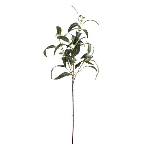 Seeded Eucalyptus Spray Luxury Home Decor Garden & Outdoor And Gifts