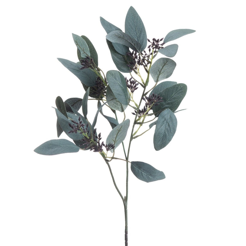 Seeded Eucalyptus Stem Luxury Home Decor Garden & Outdoor And Gifts
