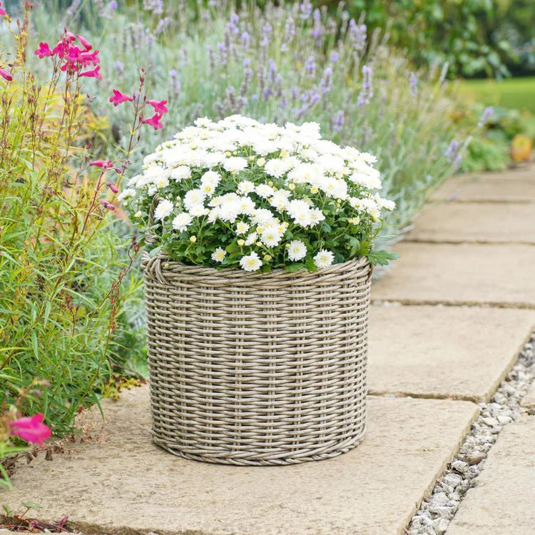 Set of 2 Outdoor Lined Planters Natural Rattan Finish - Woven Design, Frost Resistant Quality Home Decor Garden & Outdoor Living and Gifts