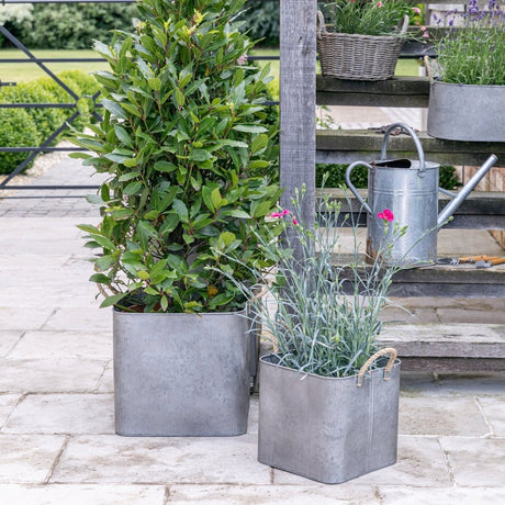 Set of 2 Outdoor Square Planters w/Rope Handles Galvanised Iron - Farmhouse Country Style Quality Home Decor Garden & Outdoor Living and Gifts
