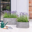 Set of 2 Outdoor Trough Planters w/Rope Handles Galvanised Iron - On - Trend Farmhouse Style Quality Home Decor Garden & Outdoor Living and Gifts