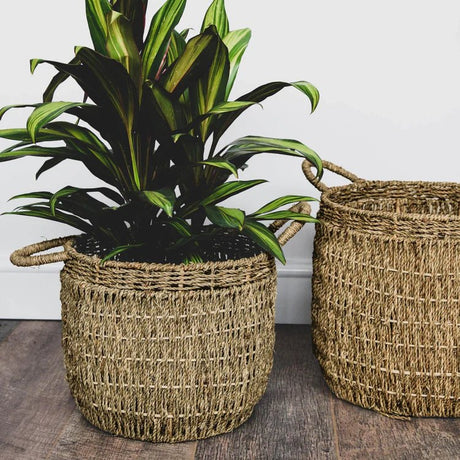 Set of 2 Seagrass Baskets or Plant Containers - With Handles and Lining Luxury Home Decor Garden & Outdoor And Gifts