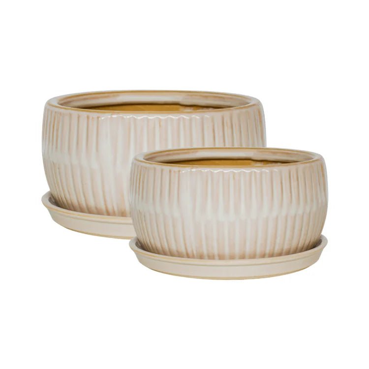 Set of 2 White Bonsai Round Planters Luxury Home Decor Garden & Outdoor And Gifts
