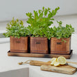 Set of 3 Hampton Outdoor Herb Planters & Tray Copper Finish - Inspired by Hampton Court Kitchen Quality Home Decor Garden & Outdoor Living and Gifts