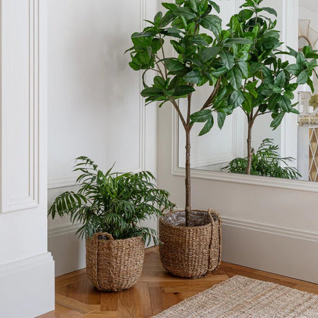 Set of 3 Seagrass Indoor Planters or Storage Baskets - With Handles & Waterproof Lining Luxury Home Decor Garden & Outdoor And Gifts