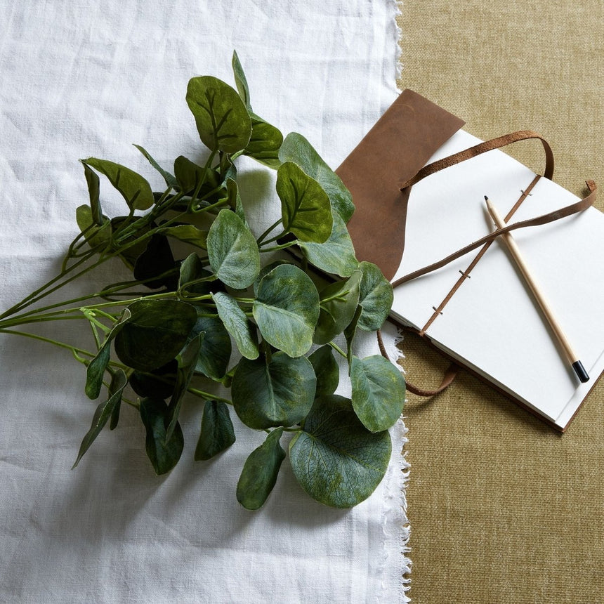 Short Eucalyptus Bunch Luxury Home Decor Garden & Outdoor And Gifts