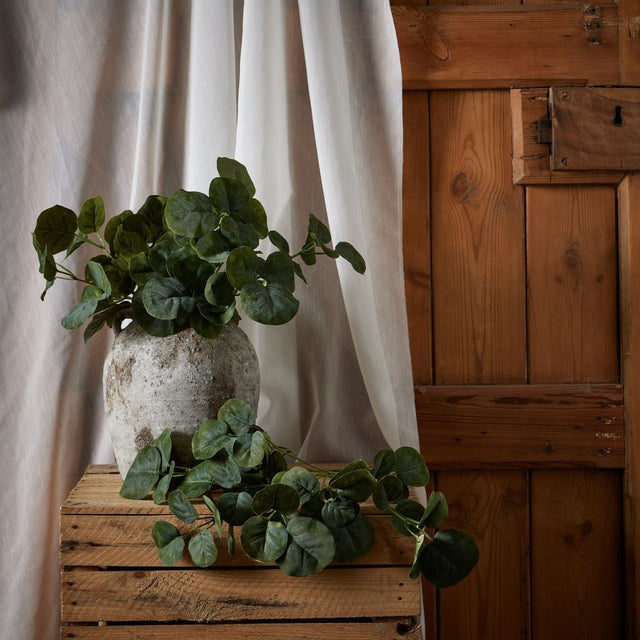 Short Eucalyptus Bunch Luxury Home Decor Garden & Outdoor And Gifts