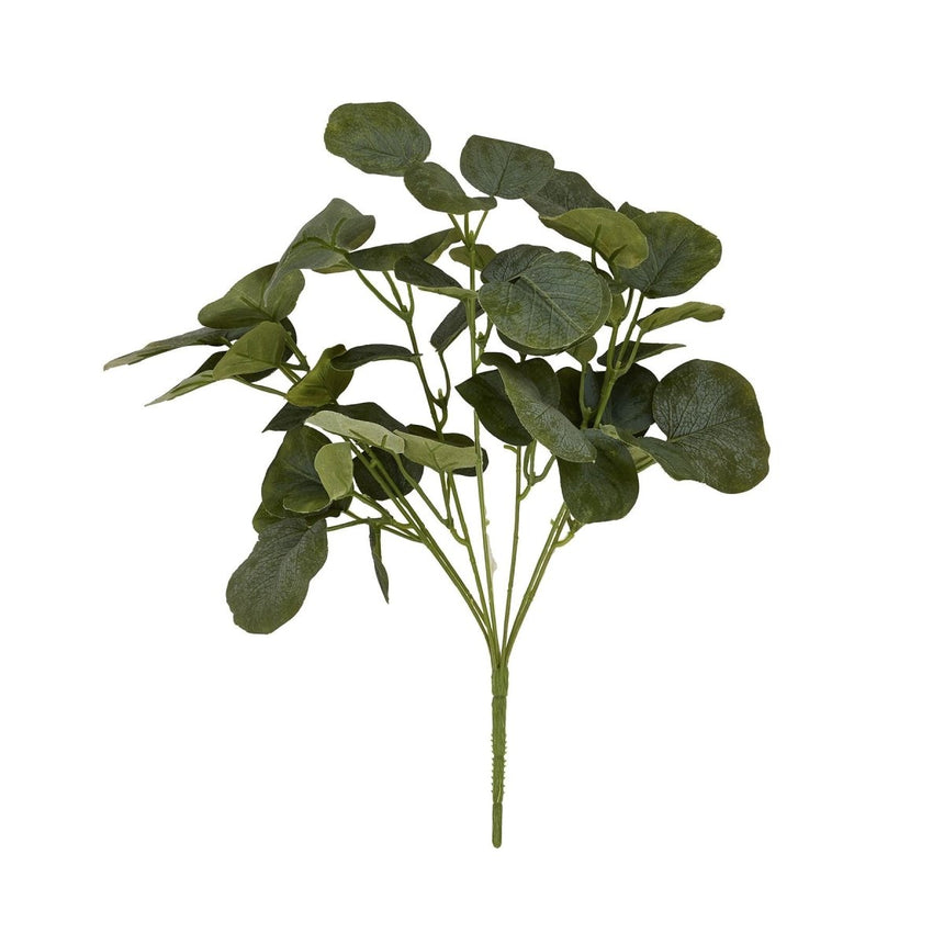Short Eucalyptus Bunch Luxury Home Decor Garden & Outdoor And Gifts