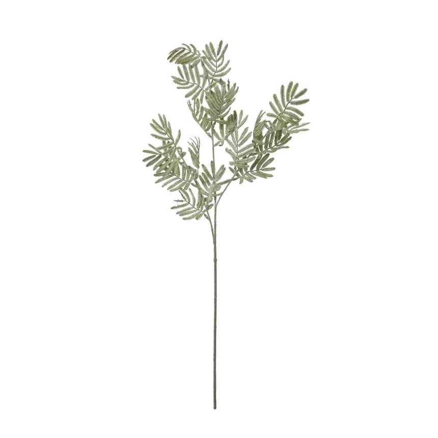Silver Wattle Leaf - Luxury Artificial Flower Single Stem Luxury Home Decor Garden & Outdoor And Gifts