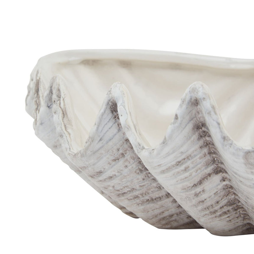 Medium White Ceramic Shell Bowl Indoor Planter Luxury Home Decor Garden & Outdoor And Gifts