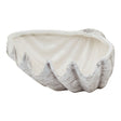 Medium White Ceramic Shell Bowl Indoor Planter Luxury Home Decor Garden & Outdoor And Gifts