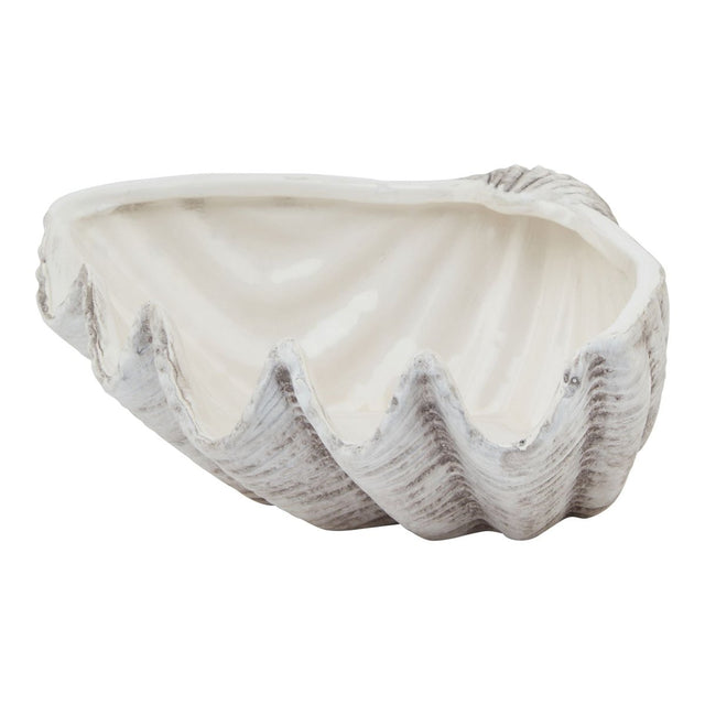 Medium White Ceramic Shell Bowl Indoor Planter Luxury Home Decor Garden & Outdoor And Gifts