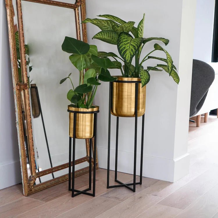 Small Antique Gold Indoor Planter Stand - Black Frame Luxury Home Decor Garden & Outdoor And Gifts