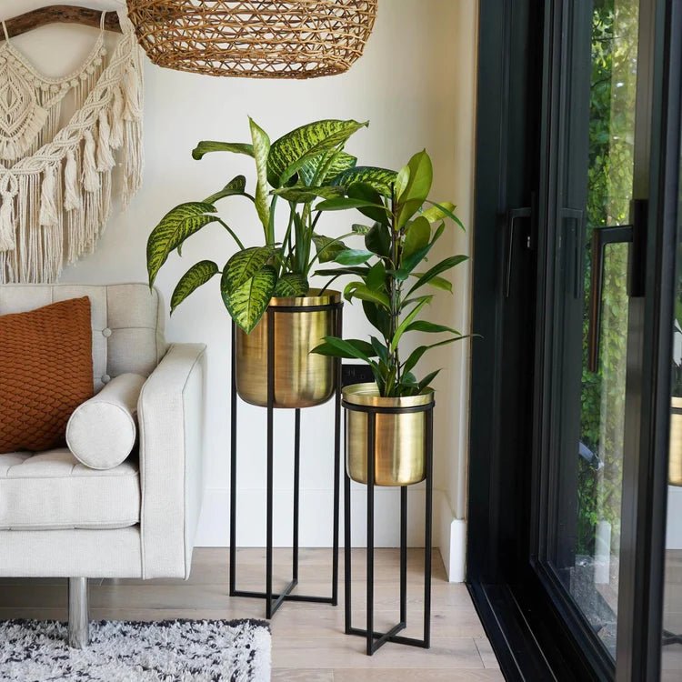 Small Antique Gold Indoor Planter Stand - Black Frame Luxury Home Decor Garden & Outdoor And Gifts