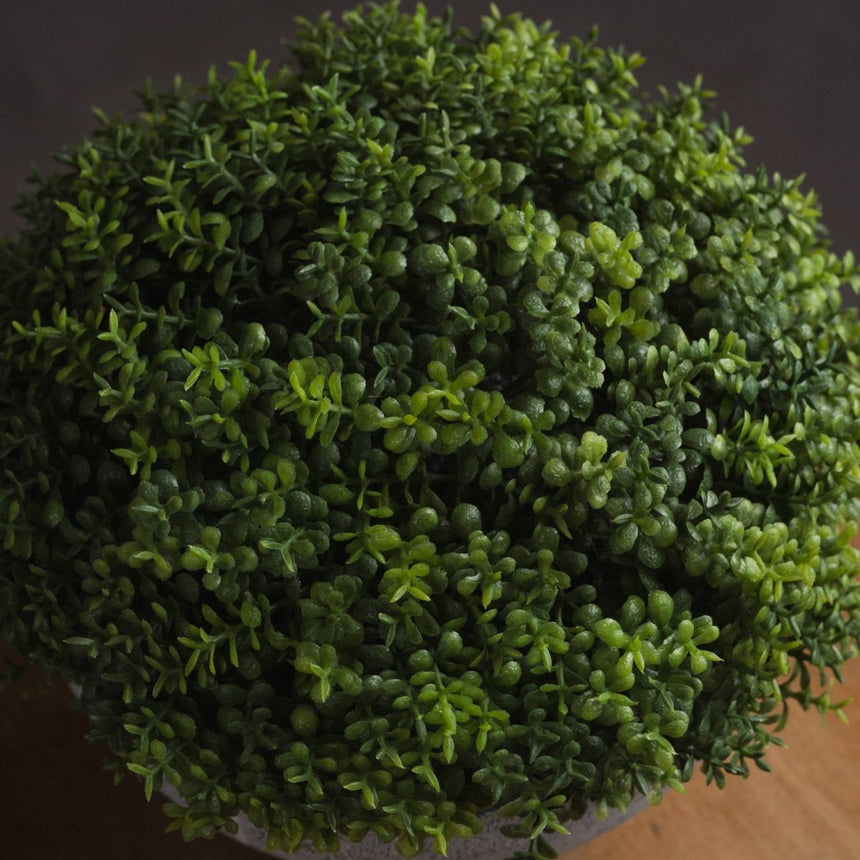 Small Hebe Globe Pot Luxury Home Decor Garden & Outdoor And Gifts