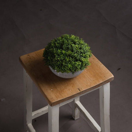 Small Hebe Globe Pot Luxury Home Decor Garden & Outdoor And Gifts