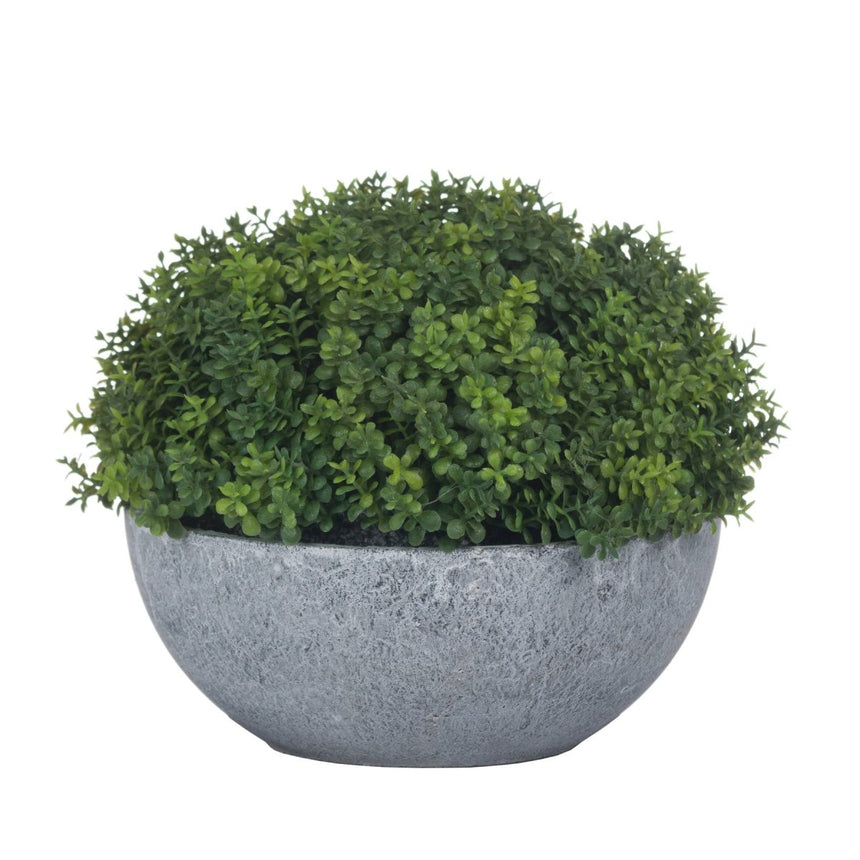 Small Hebe Globe Pot Luxury Home Decor Garden & Outdoor And Gifts