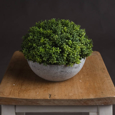 Small Hebe Globe Pot Luxury Home Decor Garden & Outdoor And Gifts