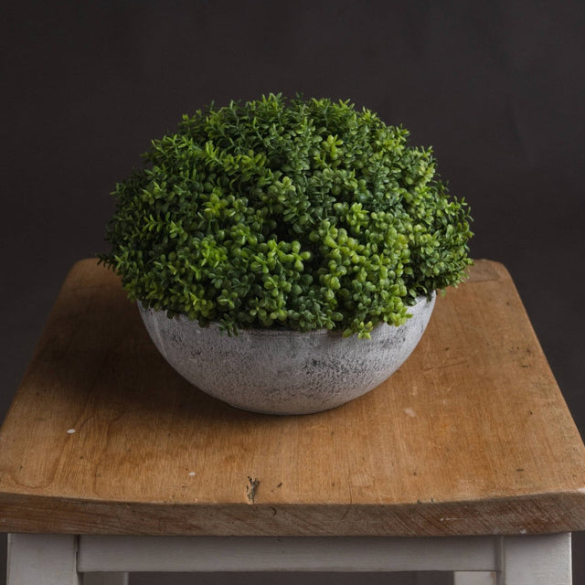 Small Hebe Globe Pot Luxury Home Decor Garden & Outdoor And Gifts