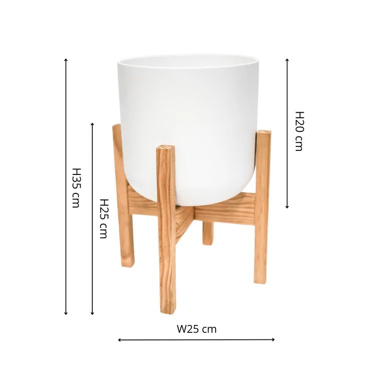 Small Indoor White Ceramic Plant Pot - On Wooden Stand Luxury Home Decor Garden & Outdoor And Gifts