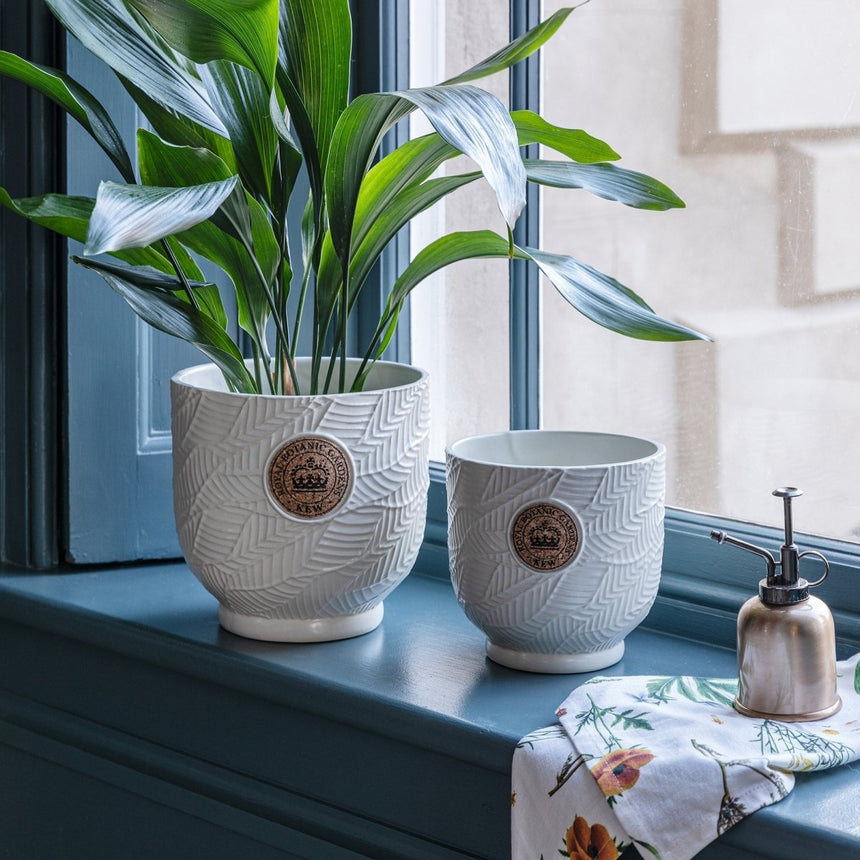 Small Kew Gardens Ceramic Leaf Inspired Ivory White Indoor Planter Luxury Home Decor Garden & Outdoor And Gifts