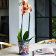 Small Kew Gardens Print Metal Planter & Saucer Set - Comes in a Gift Box Luxury Home Decor Garden & Outdoor And Gifts