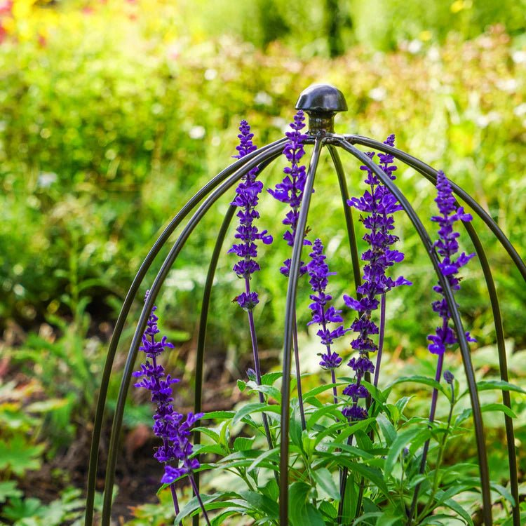 Small Outdoor Garden Metal Plant Support Zinc Finish - Frost Resistant, Outdoor Coating Quality Home Decor Garden & Outdoor Living and Gifts