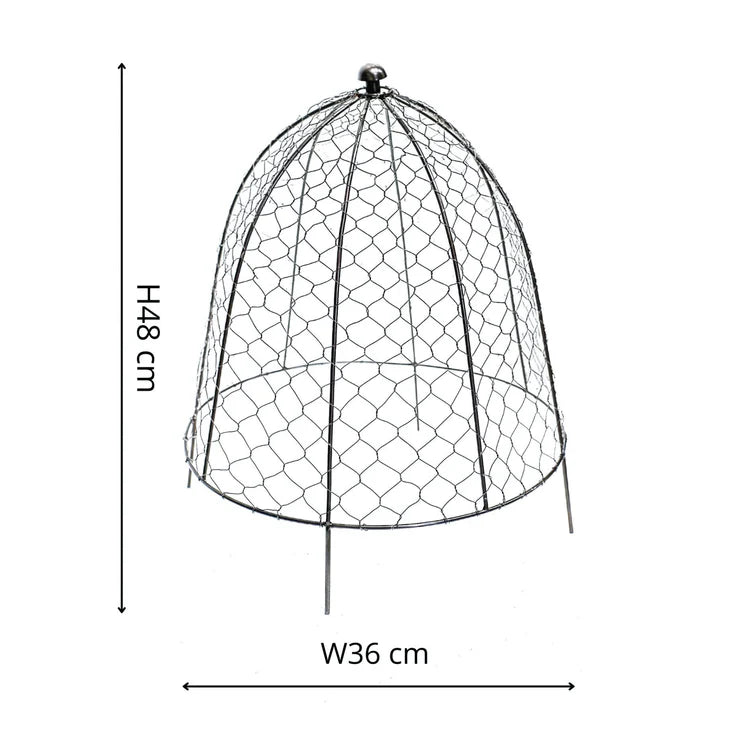 Small Outdoor Garden Wire Netted Plant Protector Cage/Cover Zinc Finish - Frost Resistant Quality Home Decor Garden & Outdoor Living and Gifts