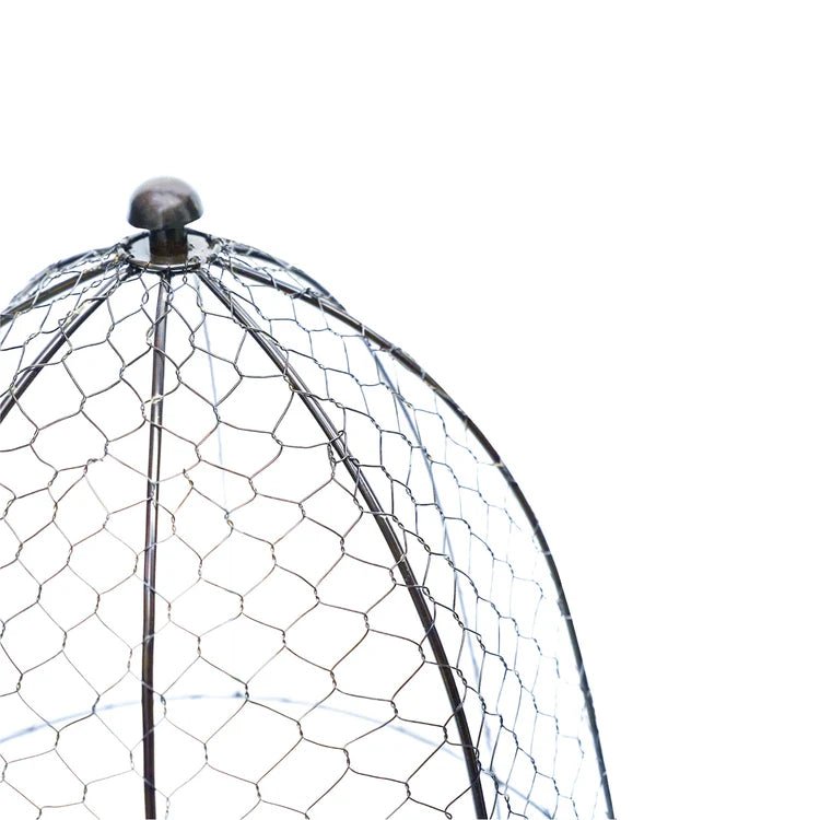 Small Outdoor Garden Wire Netted Plant Protector Cage/Cover Zinc Finish - Frost Resistant Quality Home Decor Garden & Outdoor Living and Gifts