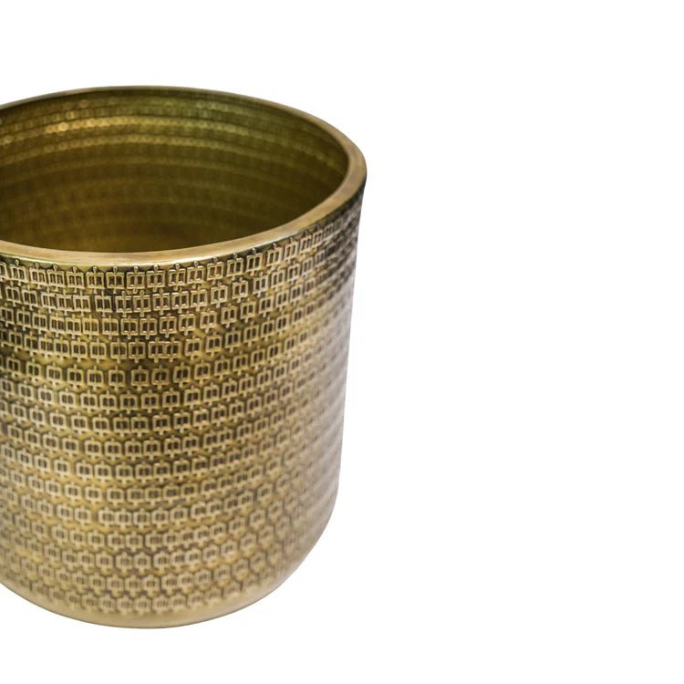 Solis Embossed Large Indoor Planter - Exquisite Gold - Tone Embossing Offsets Vivid Green Flora Quality Home Decor Garden & Outdoor Living and Gifts