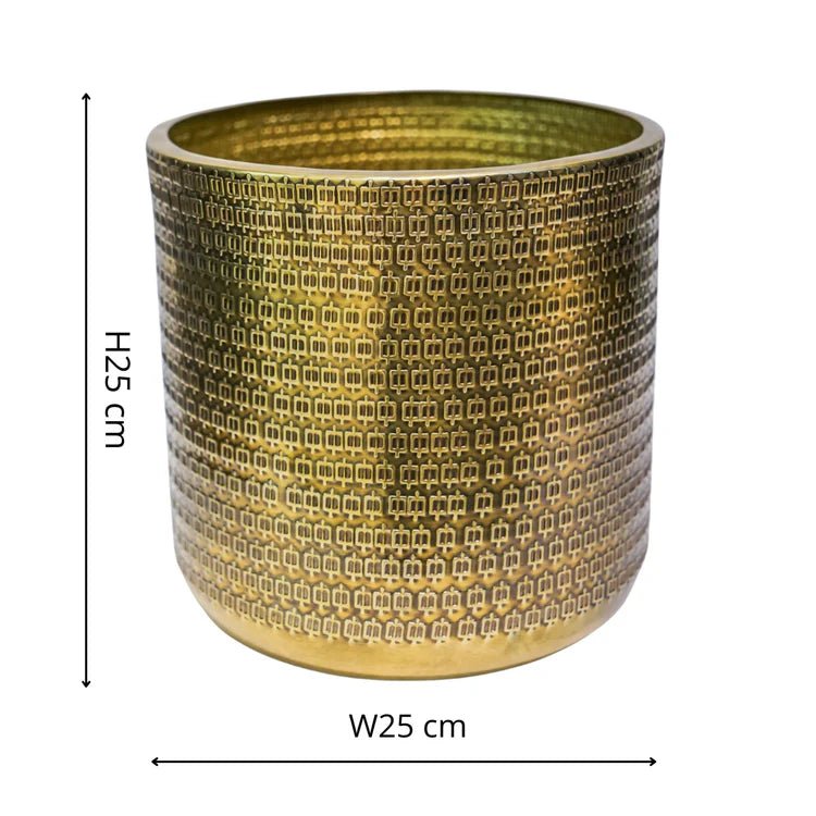 Solis Embossed Large Indoor Planter - Exquisite Gold - Tone Embossing Offsets Vivid Green Flora Quality Home Decor Garden & Outdoor Living and Gifts