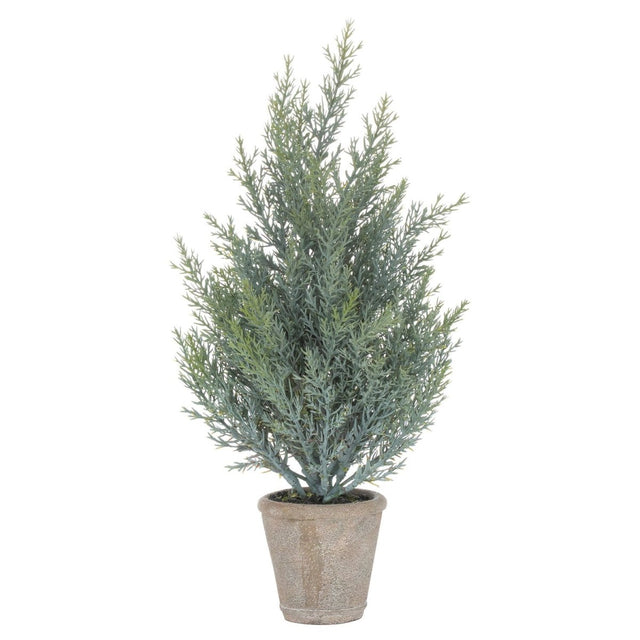 Squat Fir Tree In Stone Pot Luxury Home Decor Garden & Outdoor And Gifts