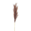 Taupe Large Faux Pampas Grass - Luxury Artificial Flower Single Stem Luxury Home Decor Garden & Outdoor And Gifts