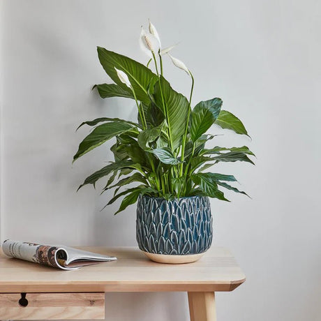 Teal Blue Leaf Embossed Indoor Pot Planter Luxury Home Decor Garden & Outdoor And Gifts
