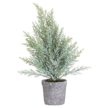 The Potted Tree Luxury Home Decor Garden & Outdoor And Gifts